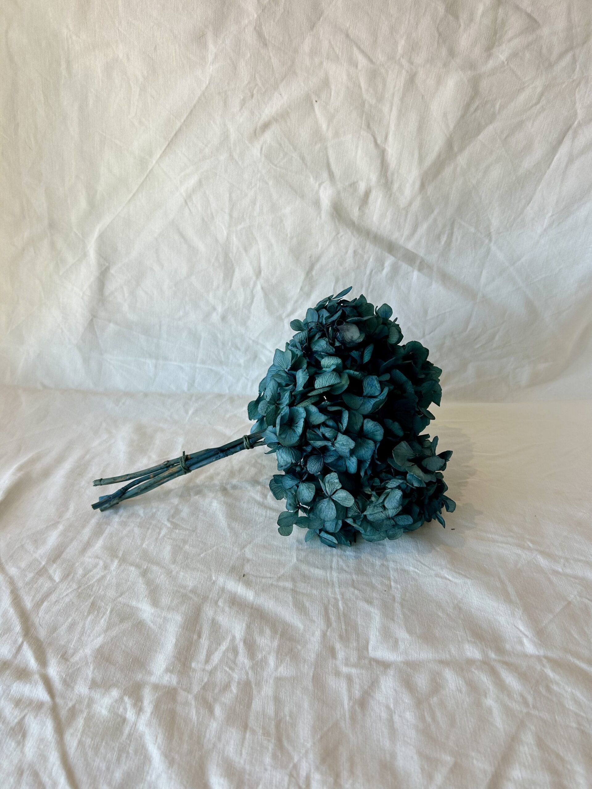 Preserved Blue Hydrangea Flowers